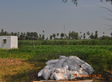 AREARD field activity image 22